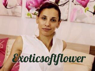 Exoticsoftflower