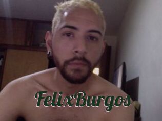 FelixBurgos