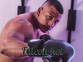 Falcon_hot