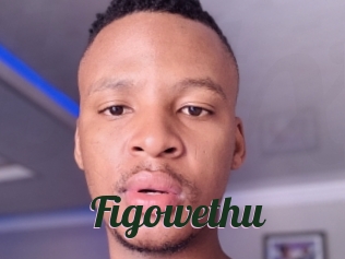 Figowethu