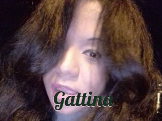 Gattina