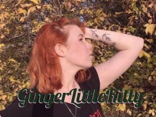 GingerLittleKitty