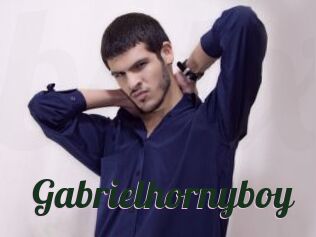 Gabrielhornyboy