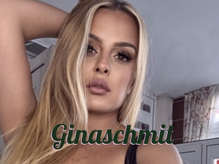 Ginaschmit