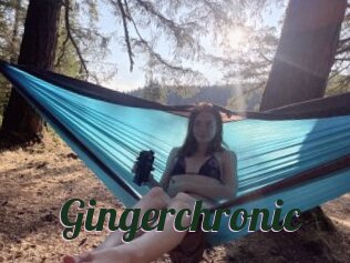 Gingerchronic