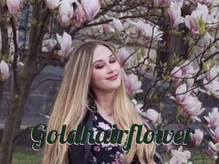 Goldhairflower