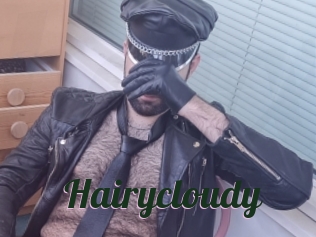 Hairycloudy