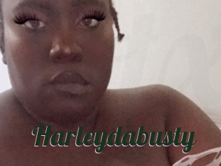 Harleydabusty