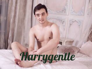 Harrygentle