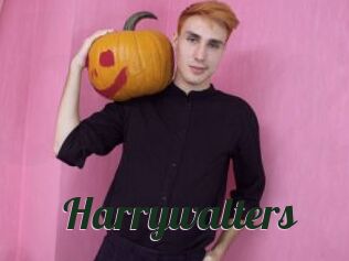 Harrywalters