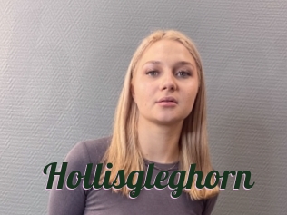 Hollisgleghorn