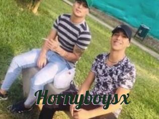 Hornyboysx