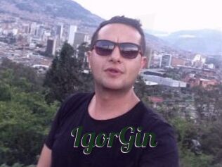IgorGin