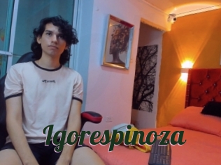 Igorespinoza