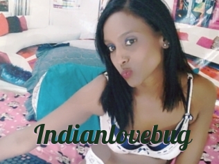 Indianlovebug