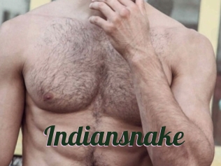 Indiansnake