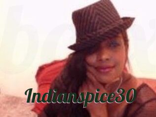 Indianspice30