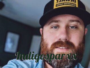 indigosparxx Bottin X