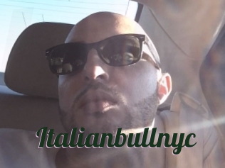 Italianbullnyc