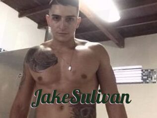 Jake_Sulivan