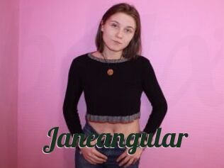 Janeangular