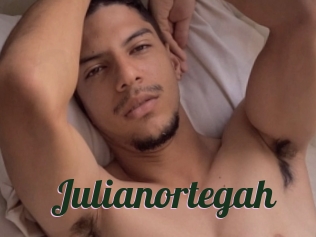 Julianortegah