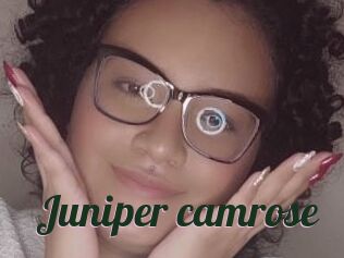 Juniper_camrose