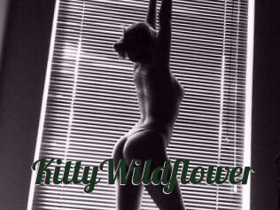 KittyWildflower