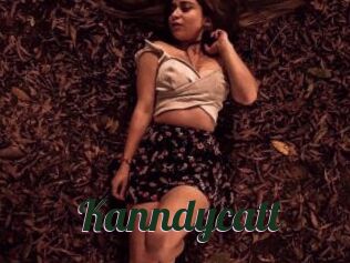 Kanndycatt