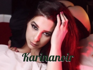 Karinanoir