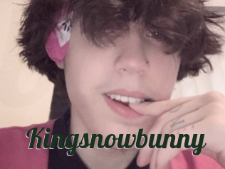 Kingsnowbunny