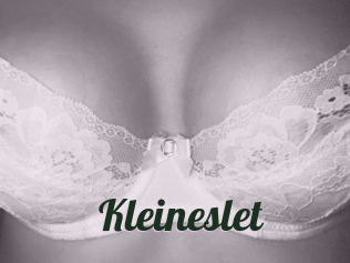 Kleineslet