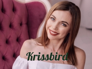 Krissbird