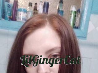 LilGingerCat