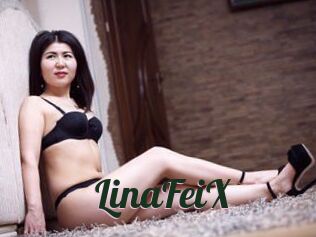 LinaFeiX