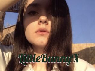 LittleBunnyX