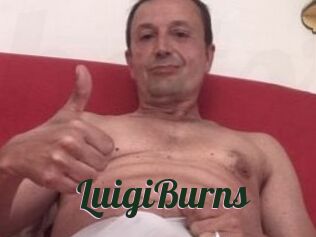 LuigiBurns