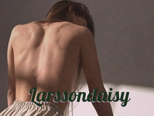 Larssondaisy