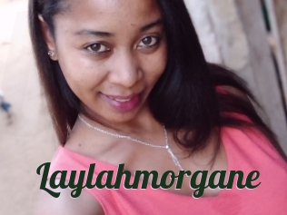 Laylahmorgane