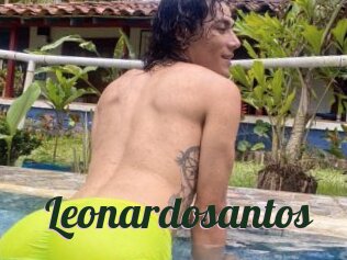 Leonardosantos