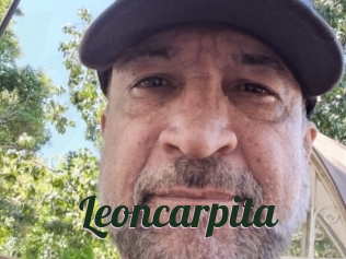 Leoncarpita