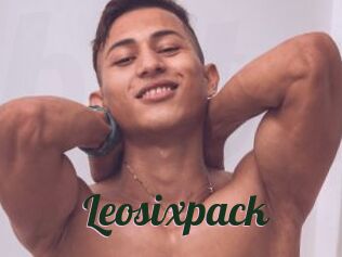 Leosixpack