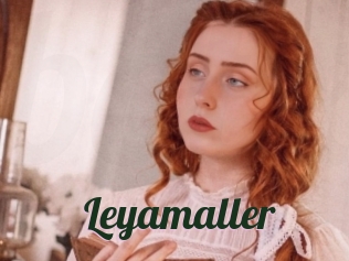 Leyamaller