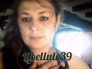 Libellule39