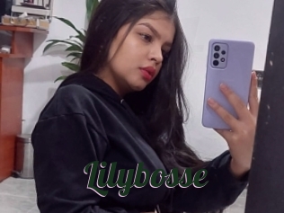 Lilybosse