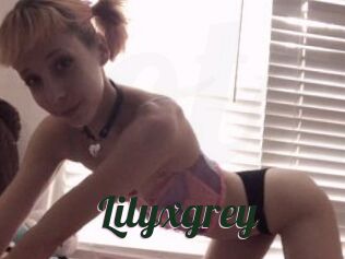 Lilyxgrey
