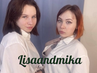 Lisaandmika