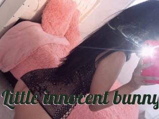 Little_innocent_bunny