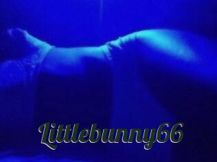 Littlebunny66