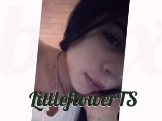 LittleflowerTS